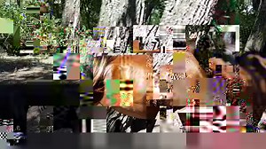 Caii salbatici de la Letea - gasiti in zona stejarilor seculari! Delta Dunarii - Ciprian Safca. Excursii in Delta Dunarii din Tulcea www.egretamica.ro www.safcadeltatours.ro #danubedelta #safcadeltatours #deltaluiciprian #cipsdanubedelta #deltadunarii #tulcea #cipriansafca #turismindeltadunarii #turismindelta #romania #europe #romaniatravel #romaniawow #romaniamagica #ig_romania #travelromania #travel #wildlifephotography #romaniapitoreasca #promovezromania #explore #naturephotography #nature #n