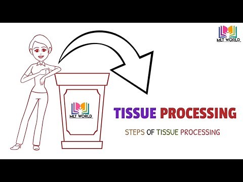 Tissue Processing & Steps of tissue processing. MLT WORLD.