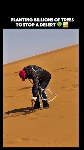 They’re Planting BILLIONS of Trees to Stop a Desert… and It’s Working 🌍