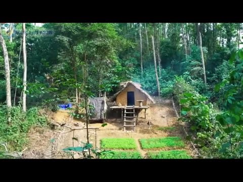 A Woman’s Dream Cabin – 100 Days of Building a New Life in the Mountains