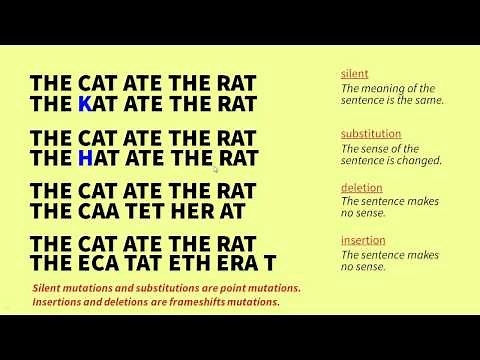 The Genetic Code and Mutations