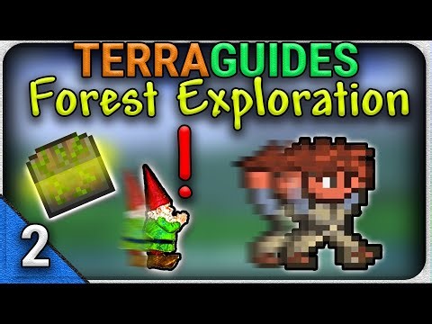 How to Explore the Forest & Upgrade Your Gear – Terraria Beginner’s Guide | TerraGuides Ep.2