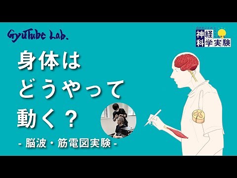 身体はどうやって動く？ -脳波・筋電図実験- 【神経科学実験②】