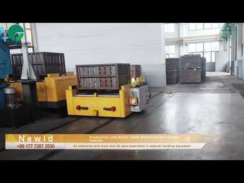 Production Line Roller Table Motorized Rail Guided Vehicle#customized #tech #rgv #manufacturing