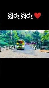 බුරු බුරු ❤️ #automobile #srilanka #outubro #1million #trendingvideo #viralvideo #1m #busvideo #bus