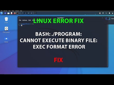 LINUX: bash: ./program: cannot execute binary file: Exec format error