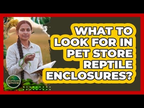 What To Look For In Pet Store Reptile Enclosures?