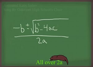 The Quadratic Formula to solve quadratic equations Step by step with graphs to illustrate.