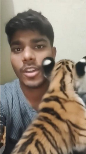 tutorial leopard leap felte ☠️🔥 #leopard​ #tutorial​ #filter​ #moneylove​