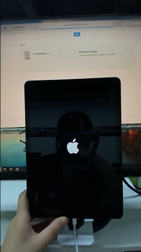 How to Reset iPad without Apple ID Password