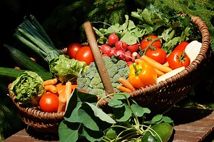 Growing Vegetables Indoors With Lights: The Truth You Need To Know