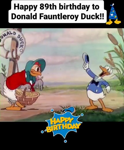 Donald Duck made his very first appearance in "The Wise Little Hen" on June 9th, 1934. This feisty & easily agitated, yet lovable little sailor will forever be one of our favorites!🦆❤️ Happy birthday, Donald! #donaldduck #happybirthday #disneycartoon #disneyanimation #disneycharacter #disneyhistory #1930s #classiccartoons #classicdisney | Days Gone Disney