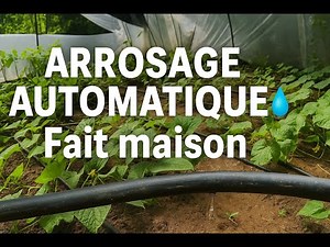 Système d’arrosage automatique fait maison – simple, sans pompe et à petit prix 💧🌿