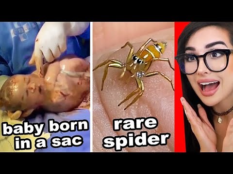 Cool Things You've Never Seen Before