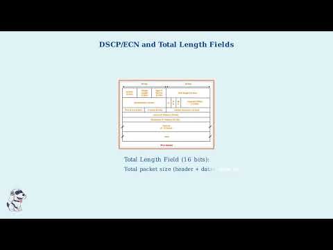 IPv4 Header Format Explained | Diagram & Fields | Computer Networks