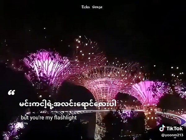 Engaging English Song with Subtitled Lyrics