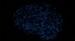 This animation features a captivating loop of blue geometric nodes...