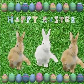 happy easter - thefatrat - time lapse. dancing rabbits