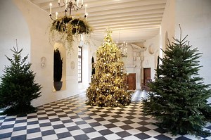 8.5K views · 568 reactions |  L'Art Floral est à l'honneur à Noël au...