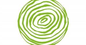 Life at Deloitte Ireland