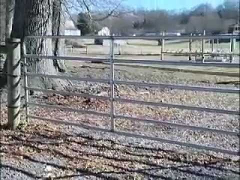 Electric Fence 101: Benefits of Electric Fencing and Installation Tips by Zareba®