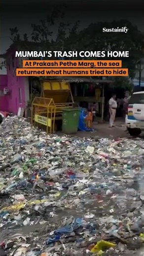 Sea Sends Mumbai’s Plastic Back — Shocking Visuals From Cuffe Parade #sustainability #cleanindia