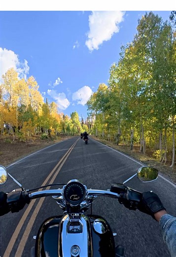 Experience the Best Fall Motorcycle Rides