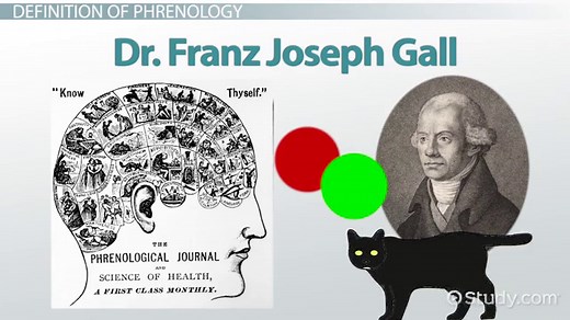 Franz Joseph Gall & Phrenology Theory | Overview & Examples