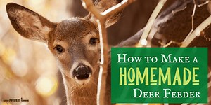 How to Make a DIY Homemade Deer Feeder (5 Different Ways)