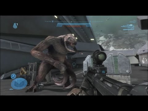 Halo Reach's Secret Built In Cheat Codes