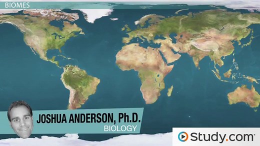Biome Overview & Classifications