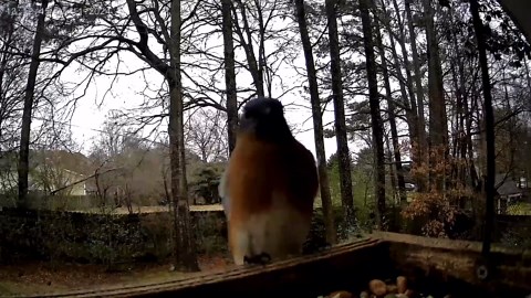 Rraycom 5G/2.4G WiFi Security Cameras Wireless Outdoor, 2K Battery Powered AI Motion Detection Siren Alarm Home Indoor Camera,Color Night Vision, 2-Way Talk, IP65 Waterproof, Works/Alexa, Cloud/SD