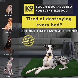 Does your dog like chew, dig, or scratch? Stop wasting money on beds...