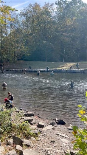 Salmon River New York battle fishing #salmonriver #newyorksalmonseason #battlefishing