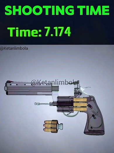 Colt Python Shooting Time