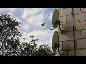 Top 5 Cable TV Alternatives in 2023 | Cut the Cord and Save Money!