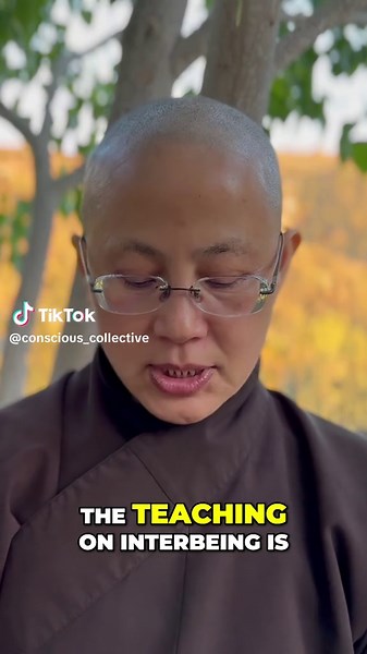 Understanding Interbeing in Buddhism with Sister Dang Nghiem