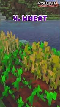 The BEST Starter Foods In Minecraft | Minecraft Bedrock Survival Guide #minecraft #minecraftbedrock