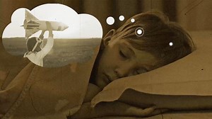 The Day Tomorrow Began: Sleep Research