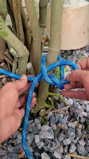 Paracord Knot That Holds Strong and Looks Neat #knotskill #shortvideo #diy #tips