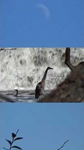 Funeral Pyre by Fire-Toolz and Peyton Aston