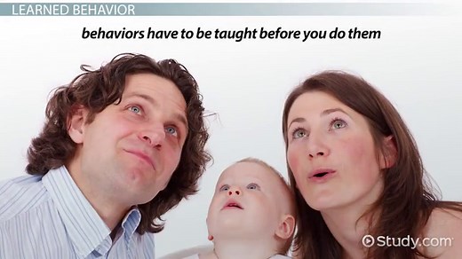 Innate vs. Learned Behavior | Definition & Examples