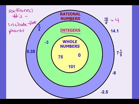 Classifying Rational Numbers