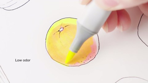 Copic Sketch, Ultra-blendable Alcohol Markers, 72pc Set D