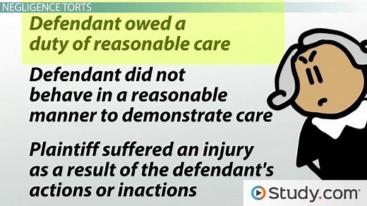 Tort Law | Definition, Types & Examples