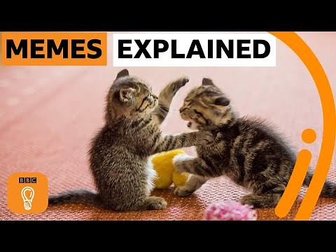 A brief history of memes | BBC Ideas