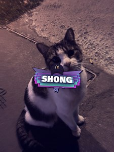 Preset Lightroom Shong: Back to Editing