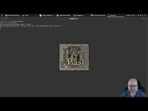 Installing Mods using Wrye Bash