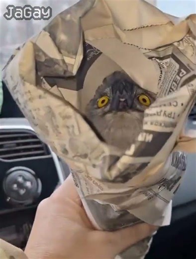 half life (1.6.3) (no effort) #halflife #halflife1