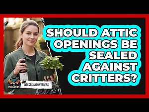 Should Attic Openings Be Sealed Against Critters?